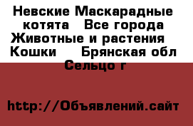 Невские Маскарадные котята - Все города Животные и растения » Кошки   . Брянская обл.,Сельцо г.